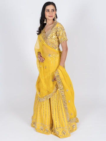 Ranas Mirror work Designer Lehenga