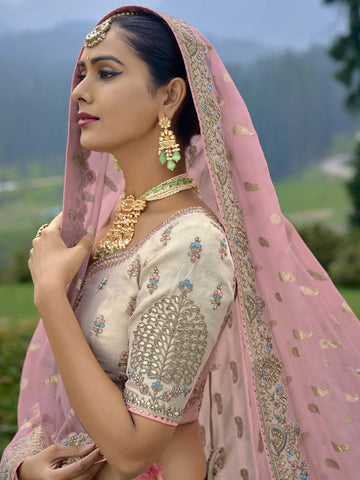 Ranas Multi-Coloured  Organza Silk Lehenga Set
