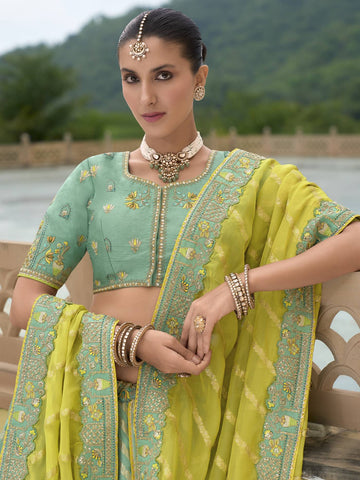 Ranas Beautiful Traditional Designer Lehenga