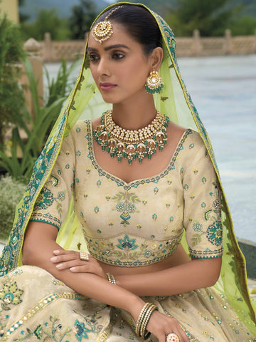 Ranas Beautiful Traditional Designer Lehenga