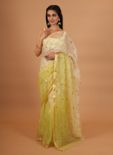 Ranas Pista Green Shaded Saree