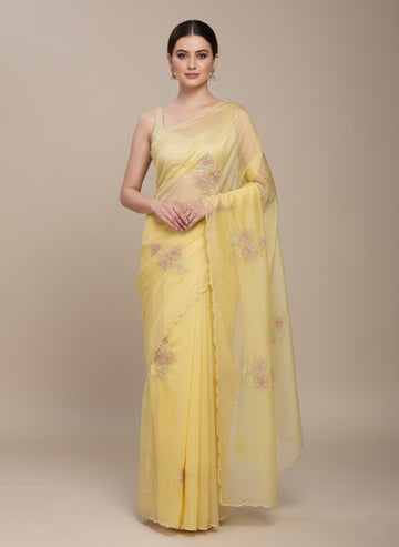 Ranas Sequine & Cutdana Work Saree