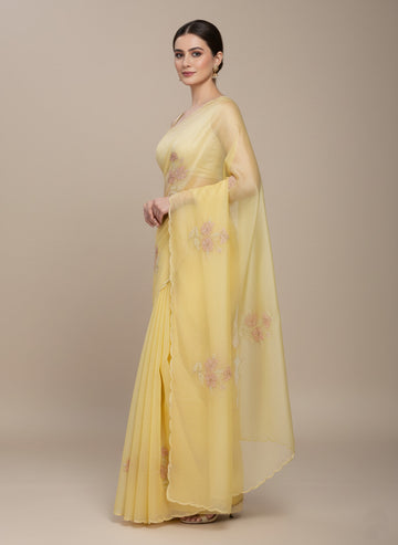 Ranas Sequine & Cutdana Work Saree