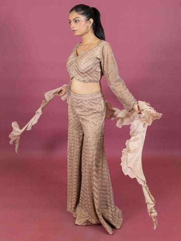 Ranas Cutdana Work Indo Western