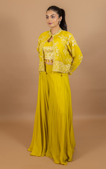 Ranas Party Wear Indo western