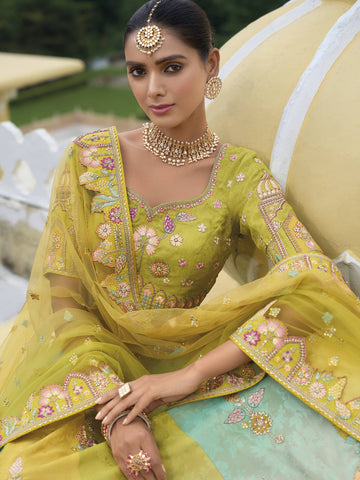 Ranas Shaded Multi Color Yellow Lehenga