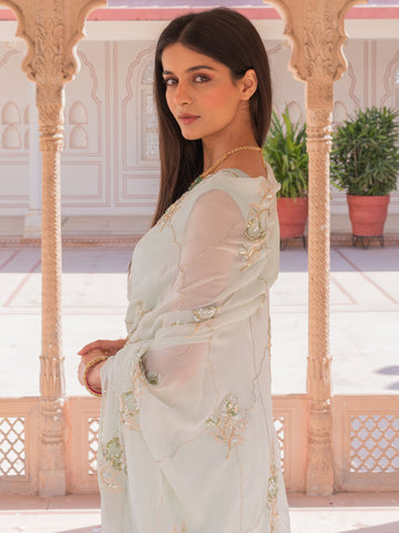 Ranas Pure chiffon Designer Saree